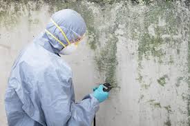 Best Water Damage & Mold Remediation  in USA